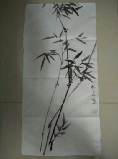 老师送的竹子