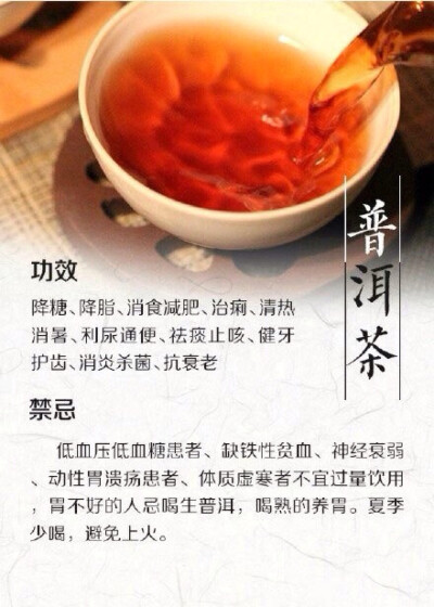 普洱茶