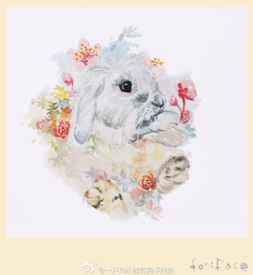 兔兔萌宠 水彩手绘