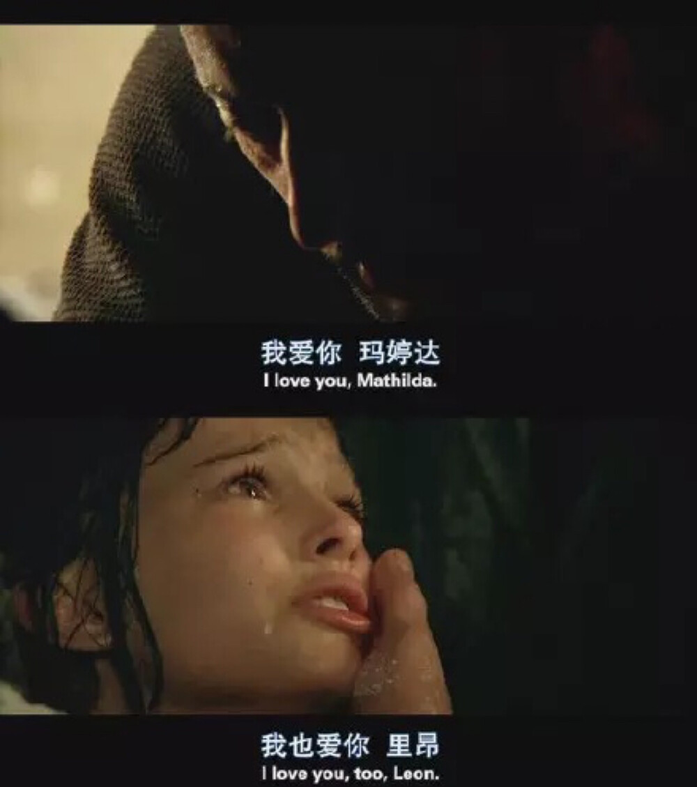 这个杀手不太冷