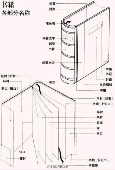 放肆当学霸