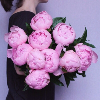 Pivoines Bouquet