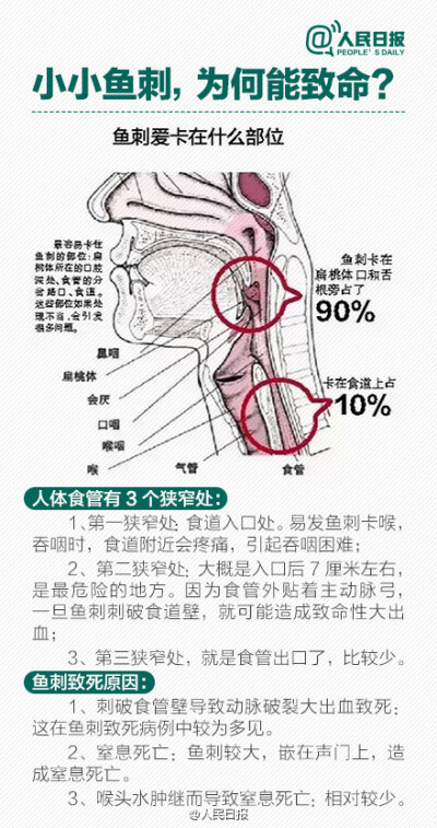 生活意外急救法