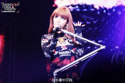 logo见出处，missing you,欧尼。2NE1.PARK BOM.BOMMI.春女士。。蹦米