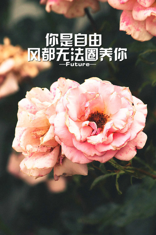 Future：暂发17张 希望大家喜欢^_^ 喜欢就收藏把 更多图片详见《Future ▪ 一记深刺》‖壁纸皮肤‖纯文字‖原创美图‖Future‖