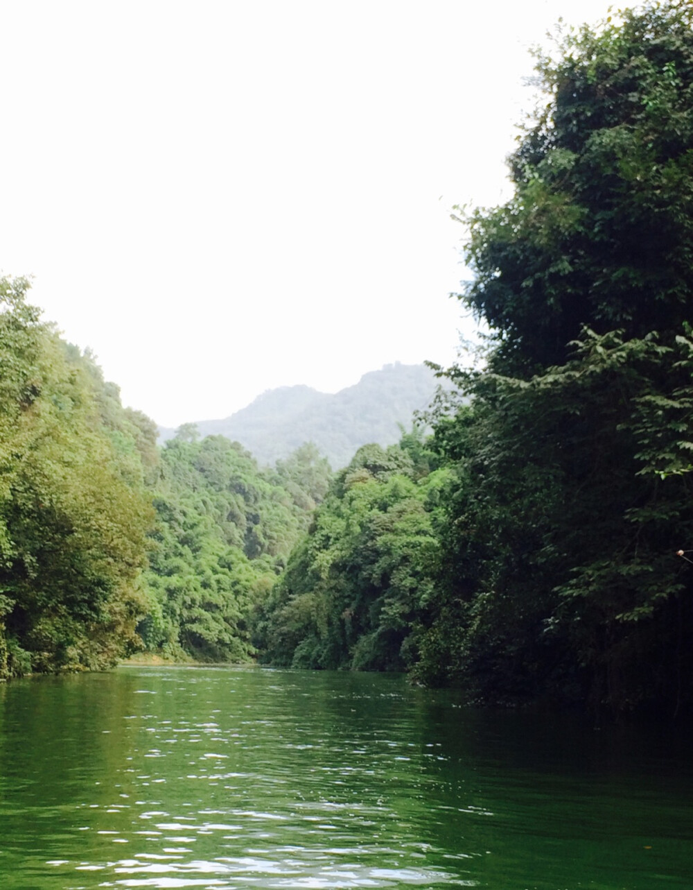 青山绿水