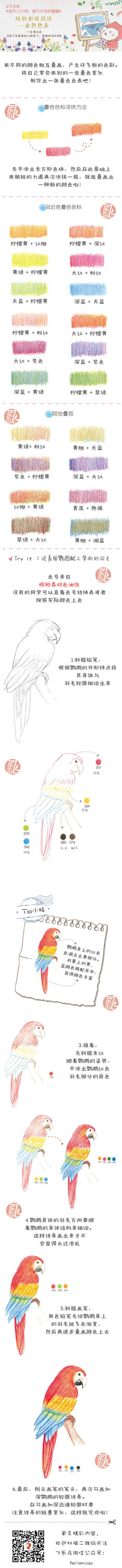 飞乐鸟手绘