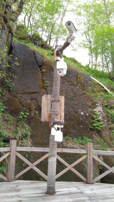 我一直想吐槽这个，瓦力中的小机器人都在这里出现了好像。。