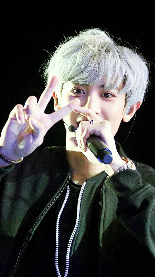 EXO 朴灿烈 明星 美男