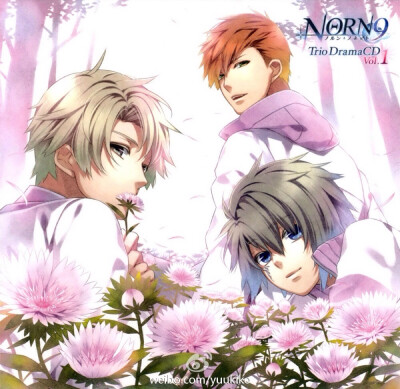 NORN9