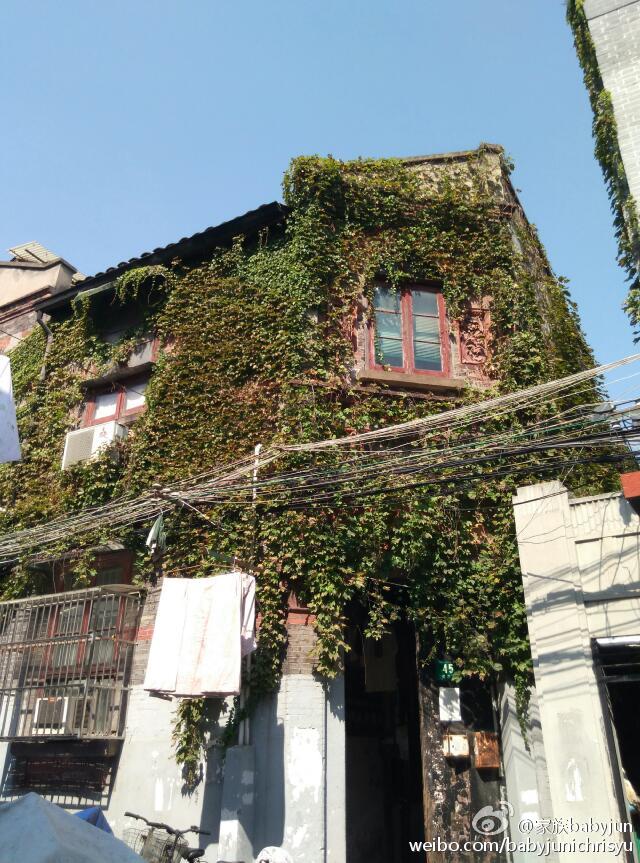 古城公园-人民路-方浜中路-光启路-学院路-西姚家弄-西牌楼路-复兴东路-巡道街-乔家路-凝和路-河南南路-尚文路-一栗街-文庙街-柳江街-梦花街-曹家街--复兴东路-肇方弄-孔家弄-松雪街-露香园路-大境路-人民路-旧仓街-福佑路-古城公园