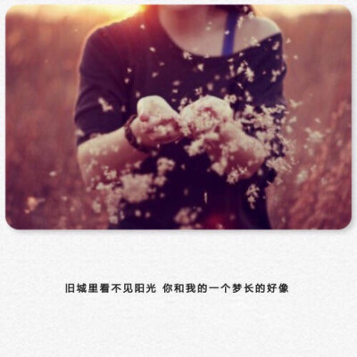 你和我的一个梦长得好像