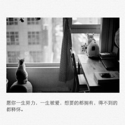 愿你一生努力 一生被爱