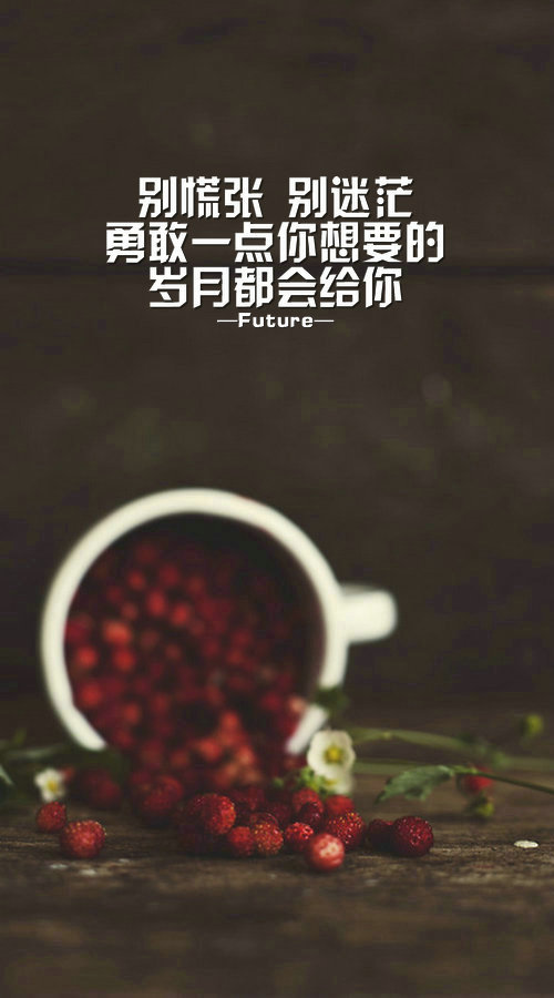 Future：暂发19张 希望大家喜欢^_^ 喜欢就收藏把 更多图片详见《Future ▪ 一记深刺》‖壁纸皮肤‖纯文字‖原创美图‖Future‖