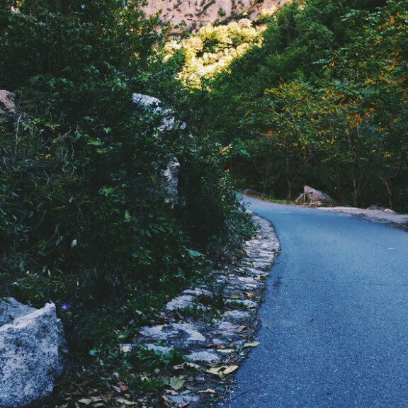 长长的山路