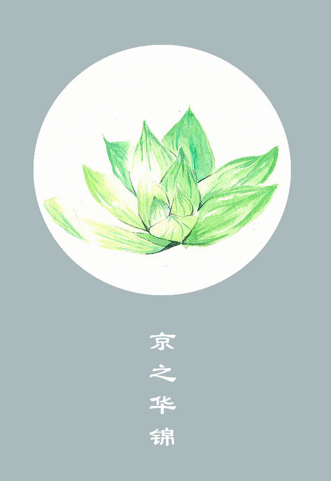 水彩 手绘 小清新 插画