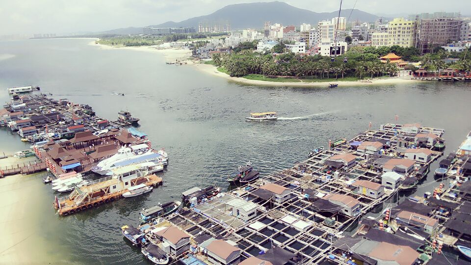 海南陵水黎族自治县——猴岛 全称我不知道叫什么，反正山上全部是放养的猴子，整个岛让我觉得最美的瞬间就是坐缆车的时光