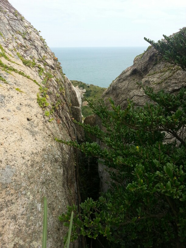 浙江舟山 东极岛 庙子湖岛《后会无期》拍摄地(๑•ั็ω•็ั๑) 石缝深深青苔上