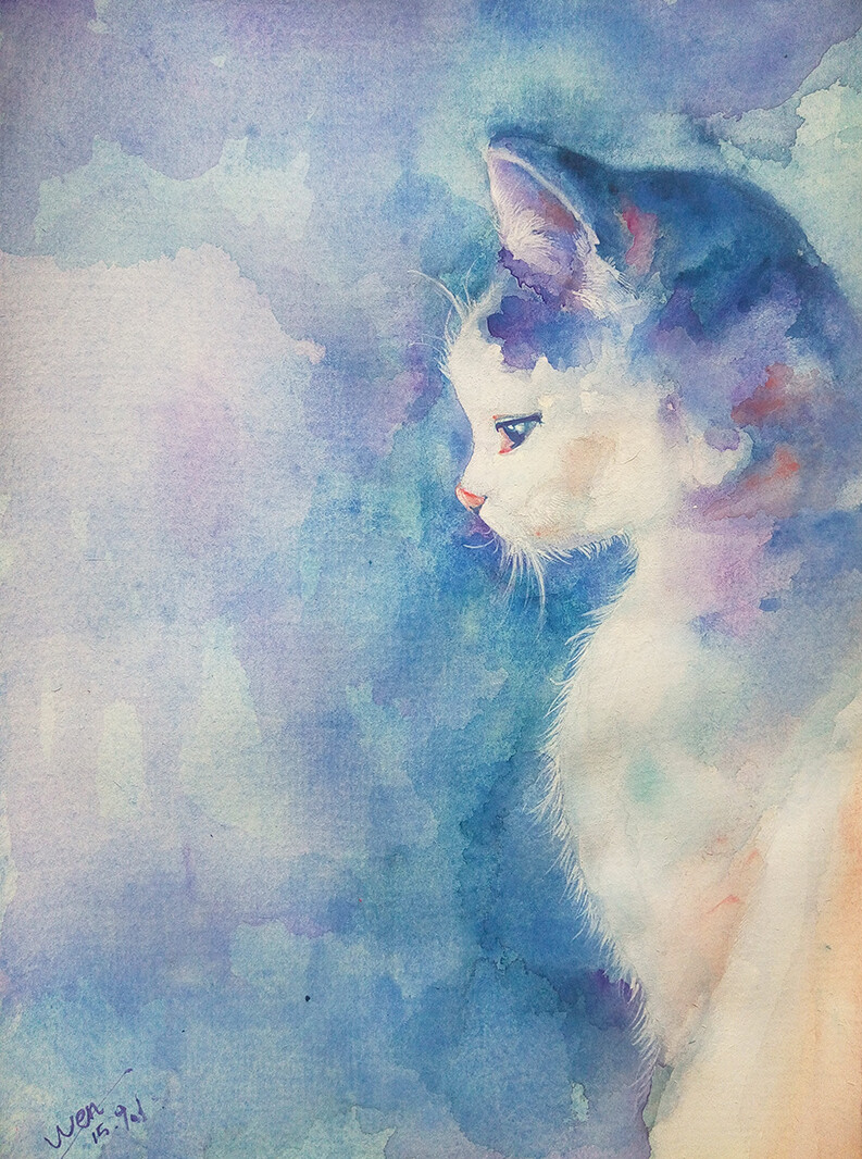 手绘线描 色彩 猫猫