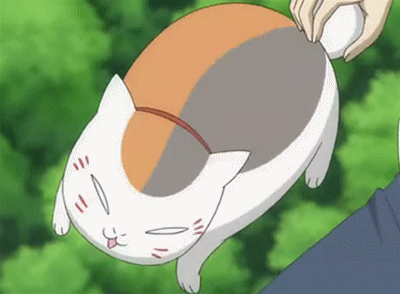 夏目友人帐猫咪老师动态