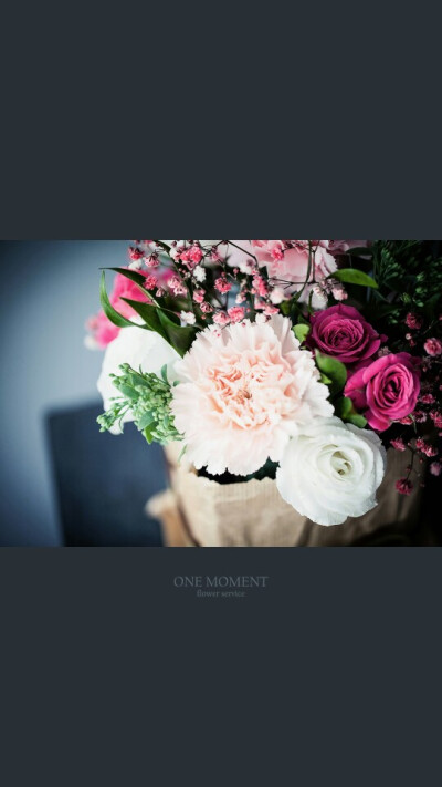 #花# #flower# #wallpaper# #手机壁纸# #背景# #锁屏# #壁纸# # ONE MOMENT#【www.1moment.co.kr】【Facebook ▶https://www.facebook.com/Onemomentplant】