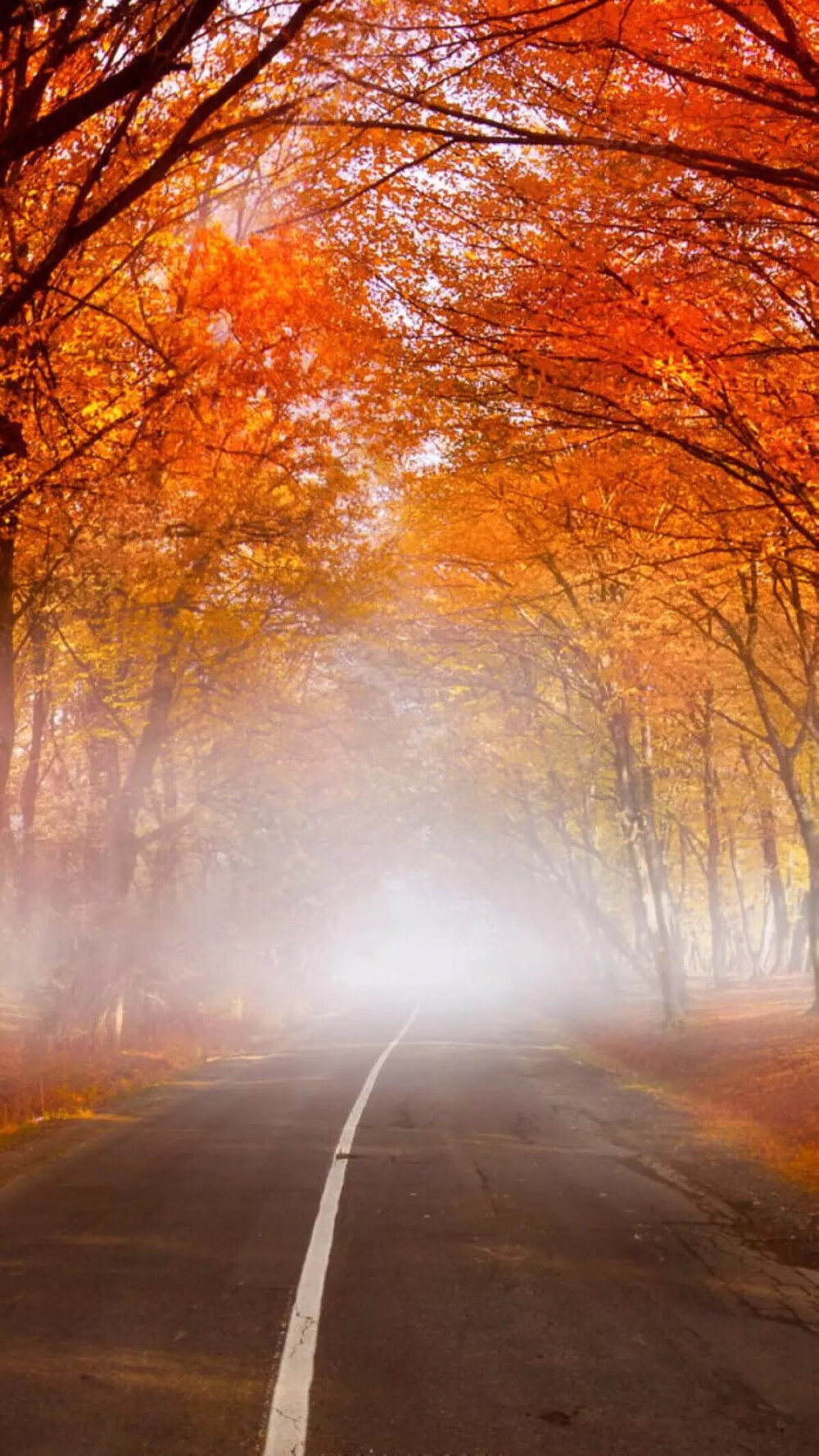 你眼中的风景，我眼中的你