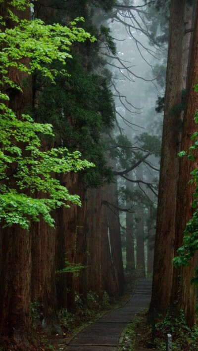 风景