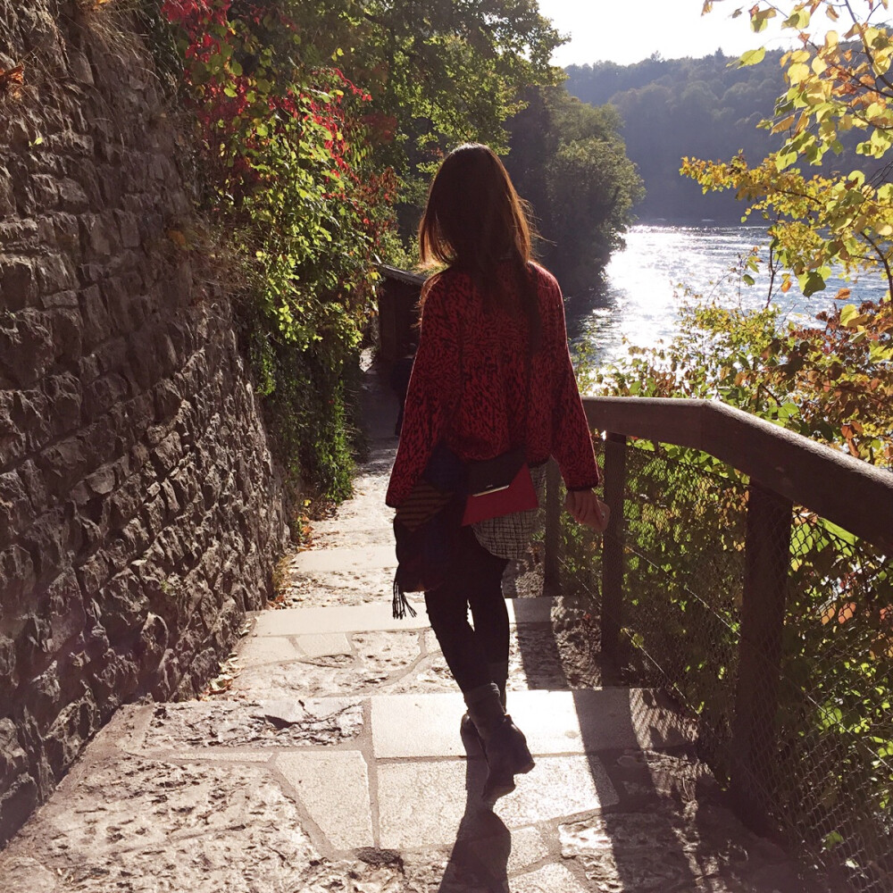 Rhine falls