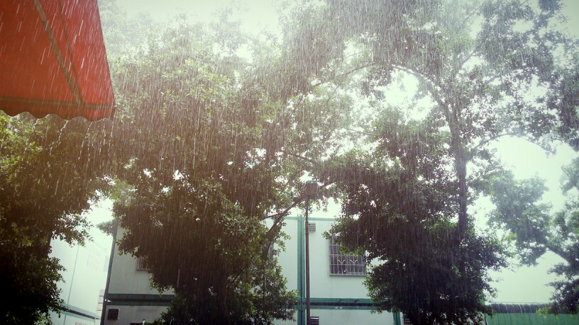 我没带伞，就在屋檐下躲了一个小时的雨，结果一个人淋着雨去吃午饭。