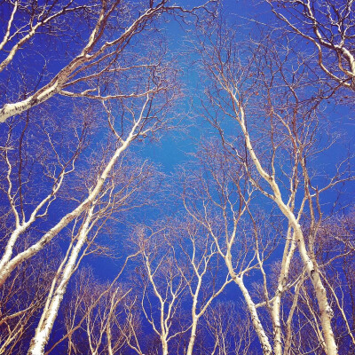 长白山 美的不需要用滤镜的地方