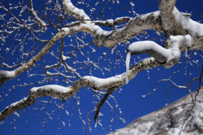 长白山 美的不需要用滤镜的地方