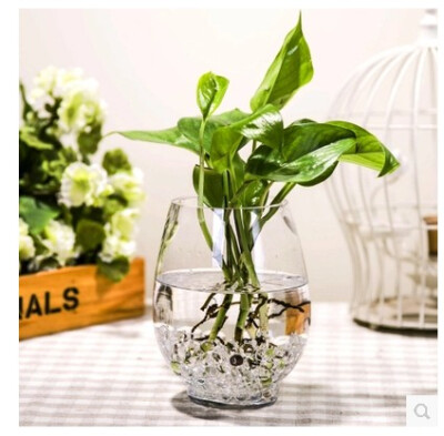 恐龙蛋花瓶实用简约透明玻璃花瓶，水培花卉植物玻璃器皿