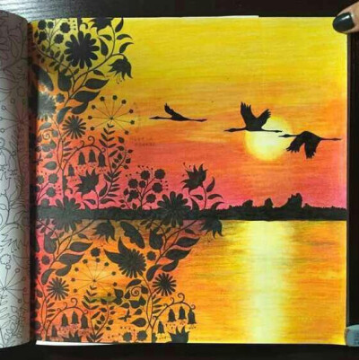 搜集的《秘密花园》美图