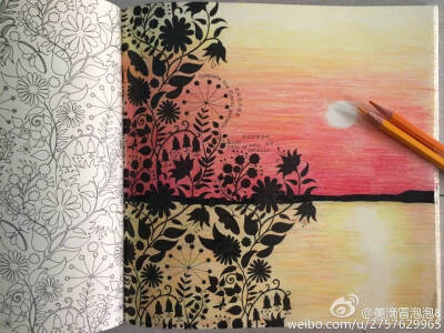 搜集的《秘密花园》美图