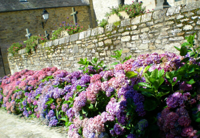 古老的修道院【Daoulas】：丁点儿大Daoulas小镇以镇中心的修道院Abbaye de Daoulas而出名，路边盛开着各色绣球花，街道却安静到给人一种人都去哪儿了的错觉，难道大家都修道去了吗？！