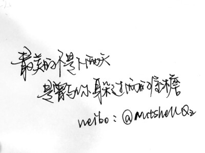  weibo：@NutshellQz