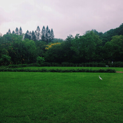 一些風景·台灣