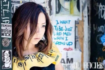 邓宝的以纯系列