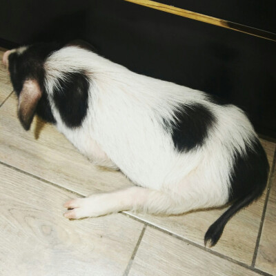 上海之旅▽ 1933老场坊 小蹬腿