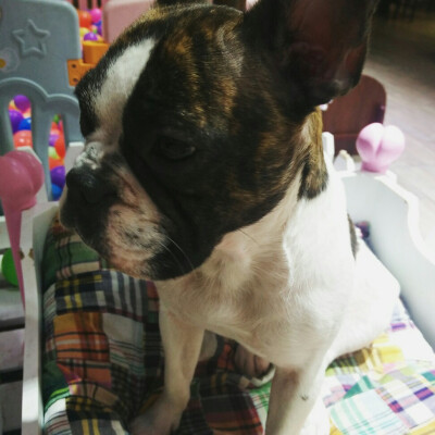 上海之旅▽ 1933老场坊 忧桑的小眼神