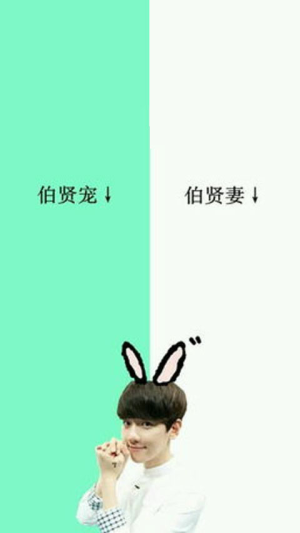 聊天背景图