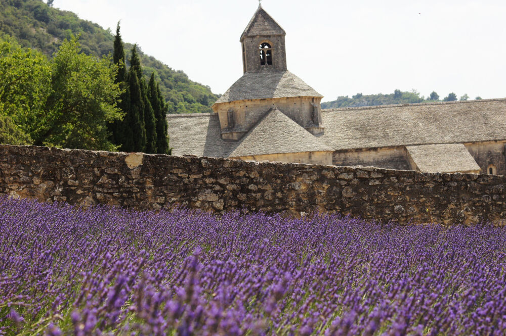 薰衣草之乡【Valensole】: 根据每年天气，七八月份的时候，南法普罗旺斯地区的薰衣草就盛开了，其实想看真正大片的薰衣草，那到Valensole镇是不会错的，这边是大规模种植薰衣草的田地，店里卖的薰衣草制品也相对较为便宜。