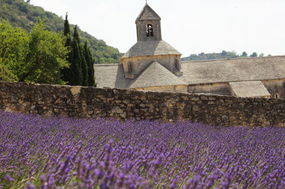 薰衣草之乡【Valensole】: 根据每年天气，七八月份的时候，南法普罗旺斯地区的薰衣草就盛开了，其实想看真正大片的薰衣草，那到Valensole镇是不会错的，这边是大规模种植薰衣草的田地，店里卖的薰衣草制品也相对较为…