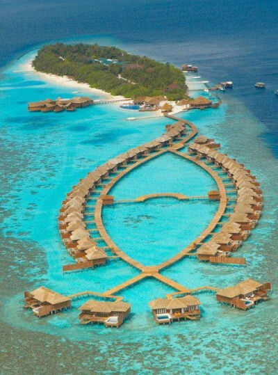 Amazing Snaps: Lily Beach Resort, Maldives. The Best Place to spend your Holiday | See more