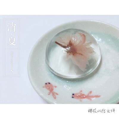 日本小食 樱花水信玄餅