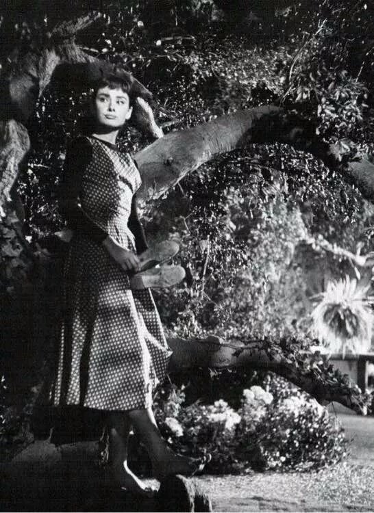 奥黛丽赫本 龙凤配