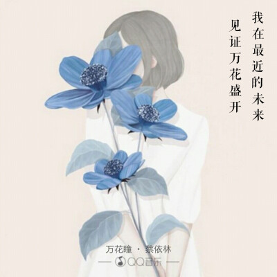 小时代之万花瞳 [歌词壁纸]