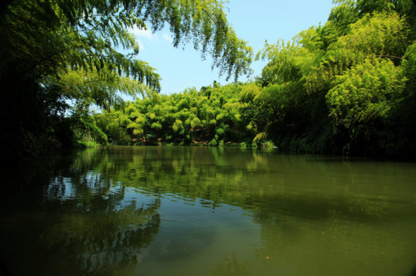 翠甲天下的蜀南竹海，位于四川南部的宜宾市境内，幅员面积120平方公里，核心景区44平方公里，共有八大主景区两大序景区134处景点。景区内共有竹子58种，7万余亩，是我国最大的集山水、溶洞、湖泊、瀑布于一体，兼有历史悠久的人文景观的最大原始&amp;quot;绿竹公园&amp;quot;;植被覆盖率达87%，为我国空气负离子含量极高的天然氧吧!