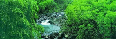 翠甲天下的蜀南竹海，位于四川南部的宜宾市境内，幅员面积120平方公里，核心景区44平方公里，共有八大主景区两大序景区134处景点。景区内共有竹子58种，7万余亩，是我国最大的集山水、溶洞、湖泊、瀑布于一体，兼有…