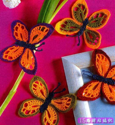 各种蝴蝶编织